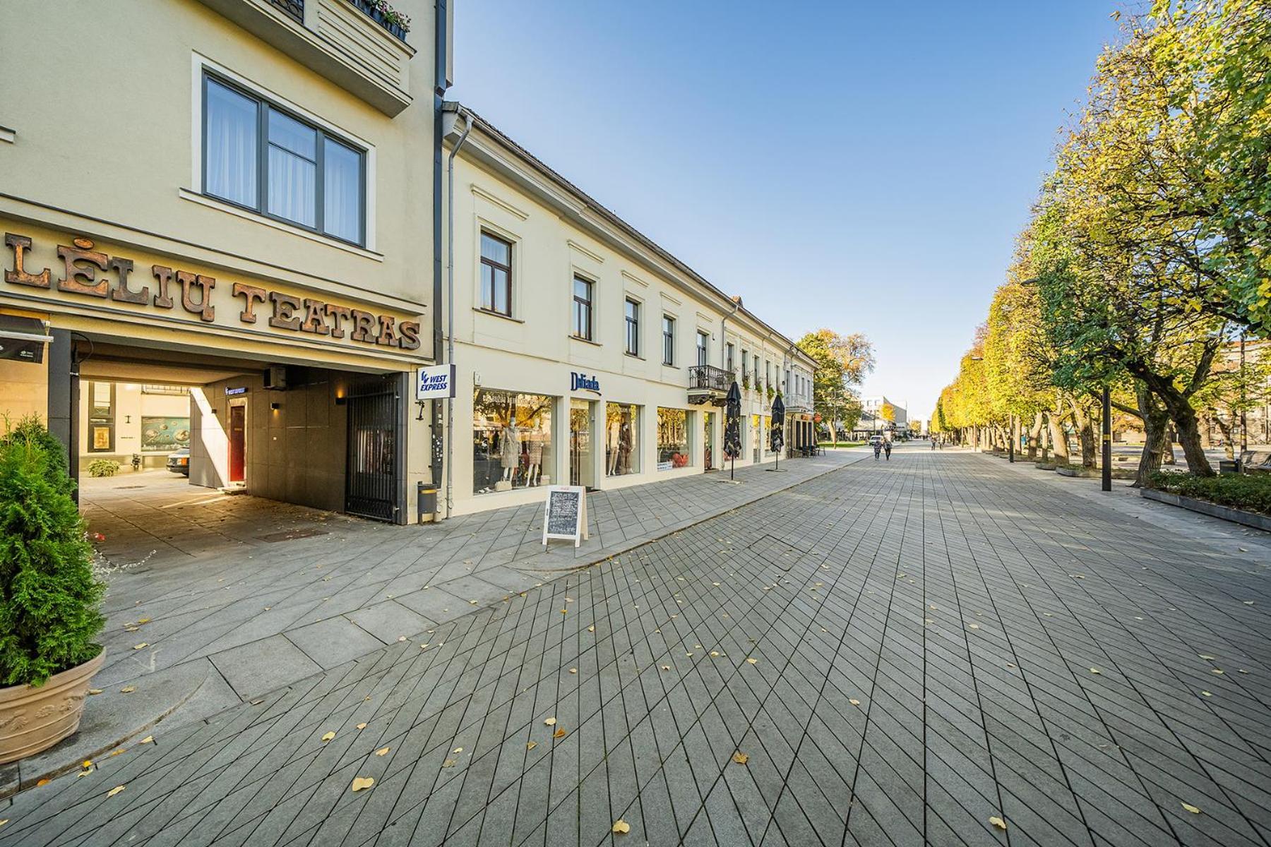 Central Park Apartments - The Luxury Collection Kaunas Luaran gambar