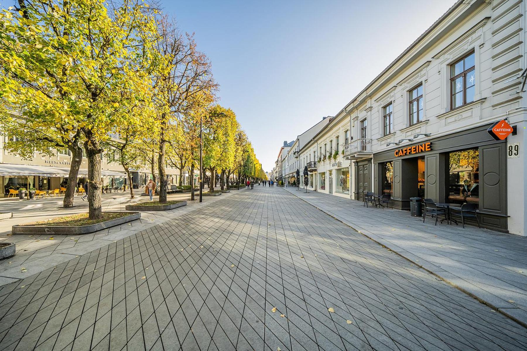 Central Park Apartments - The Luxury Collection Kaunas Luaran gambar